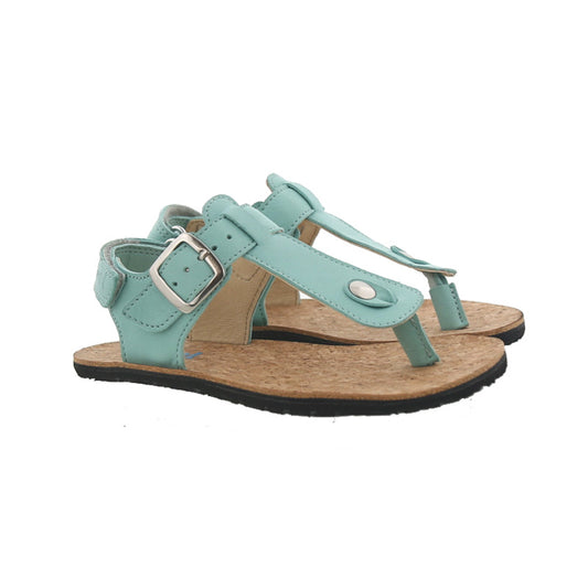Koel Abriana Aqua