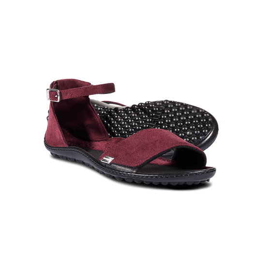 Leguano Jara Bordeaux