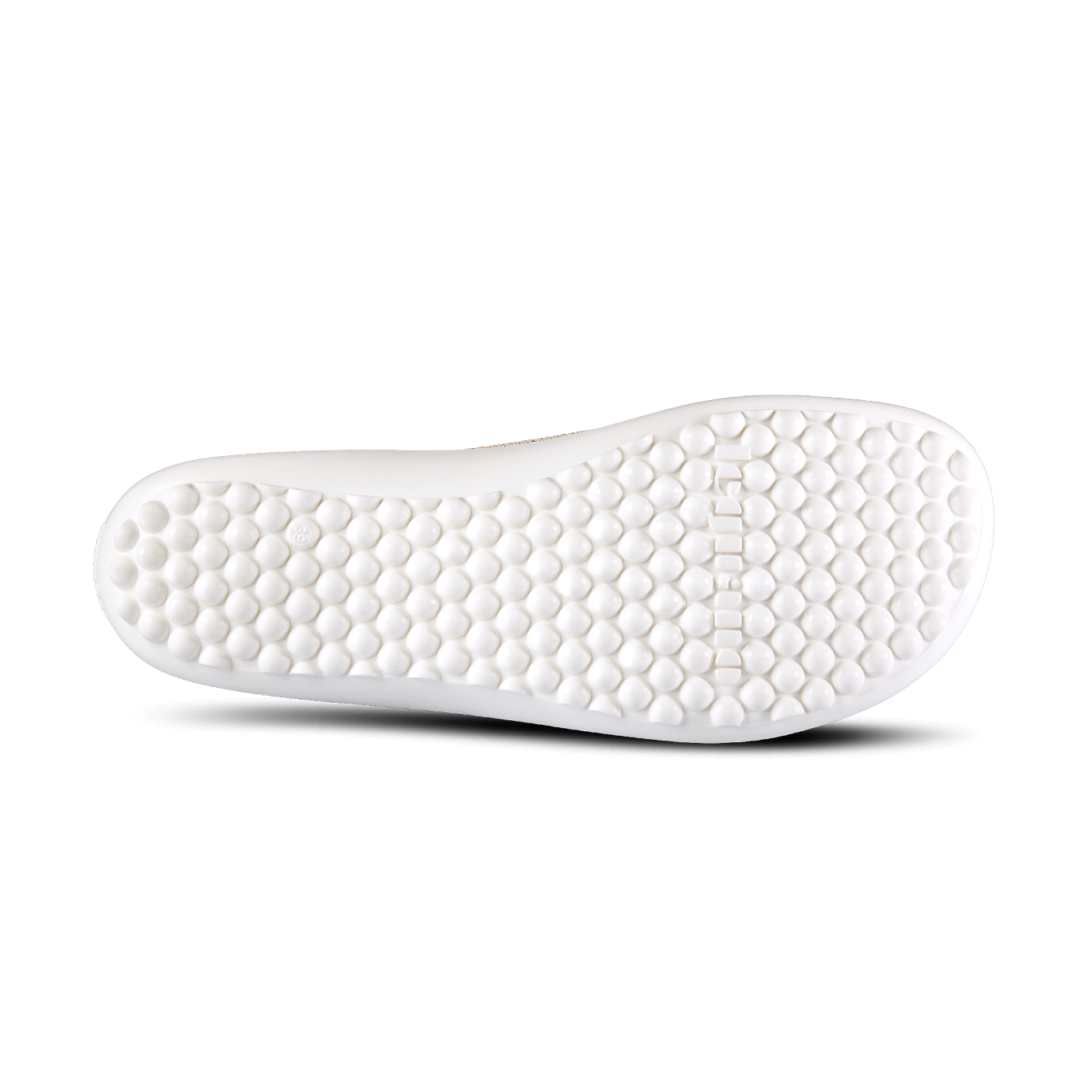 Leguano Scio Rose